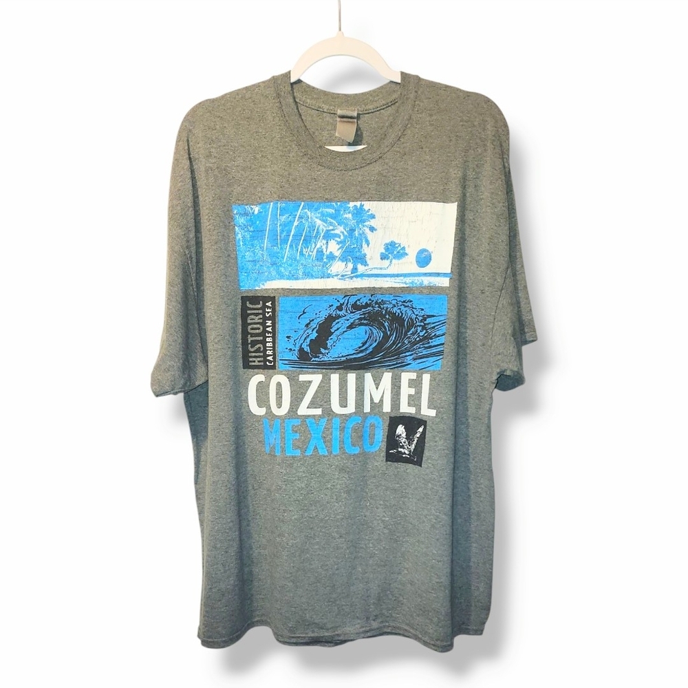 Mens Gray Cozumel Graphic T-Shirt